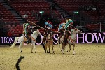 Quadrille - 00129